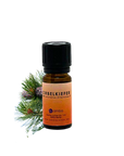 Zirbelkiefer ätherisches Öl 10ml
