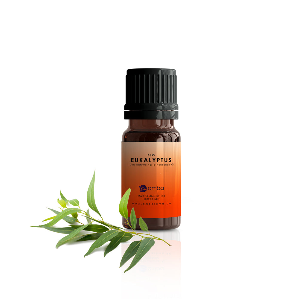 Eukalyptus, Bio 10 ml