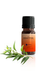 Eukalyptus, Bio 10 ml