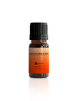Latschenkiefer 10 ml