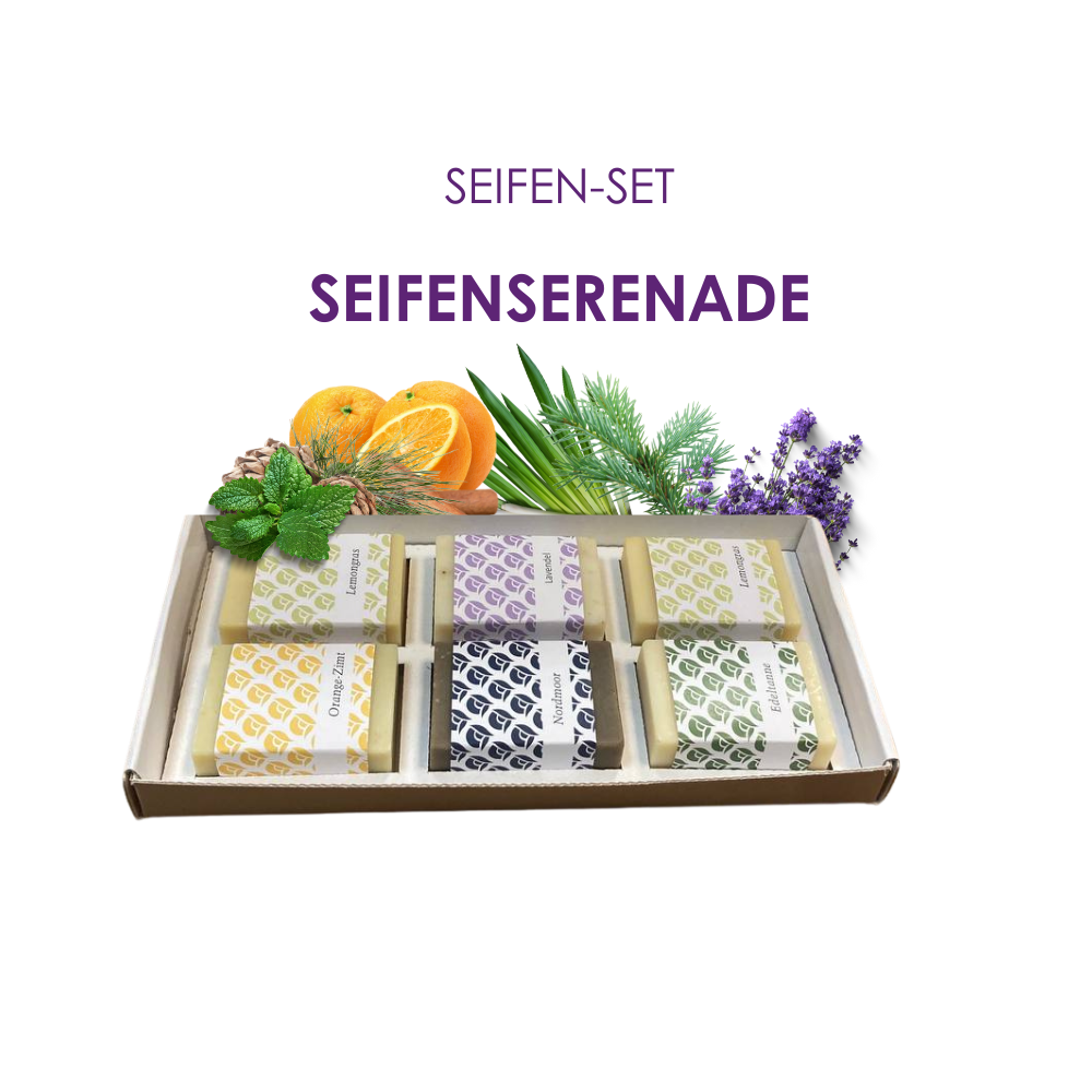 Seifenset mit 6 Seifen a 50 g_Orange Zimt_Nordmoor_Edeltanne_2mal Lemongras_Lavendel in der Schachtel