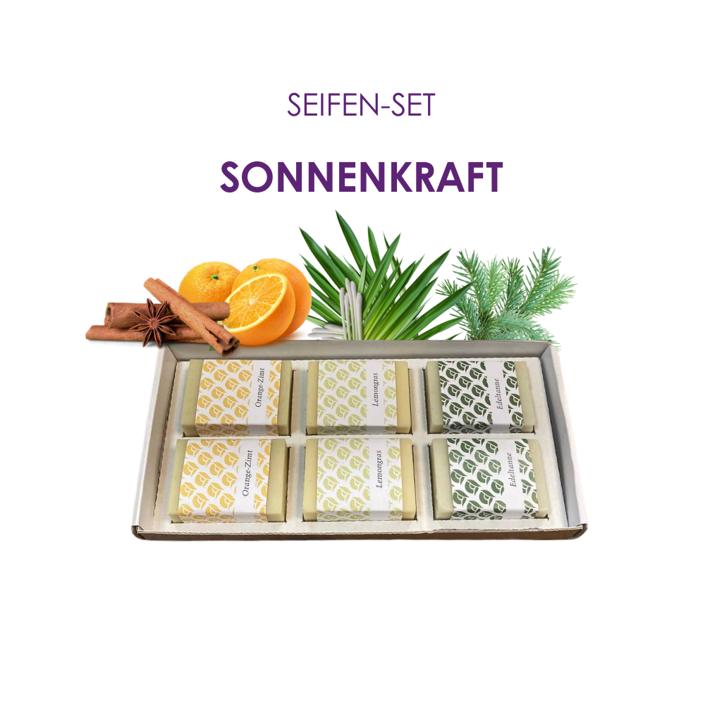 Seifenset mit 3 mal 2 Seifen a 50g_Lemongras_Edeltanne_Orange Zimt in der der Schachtel