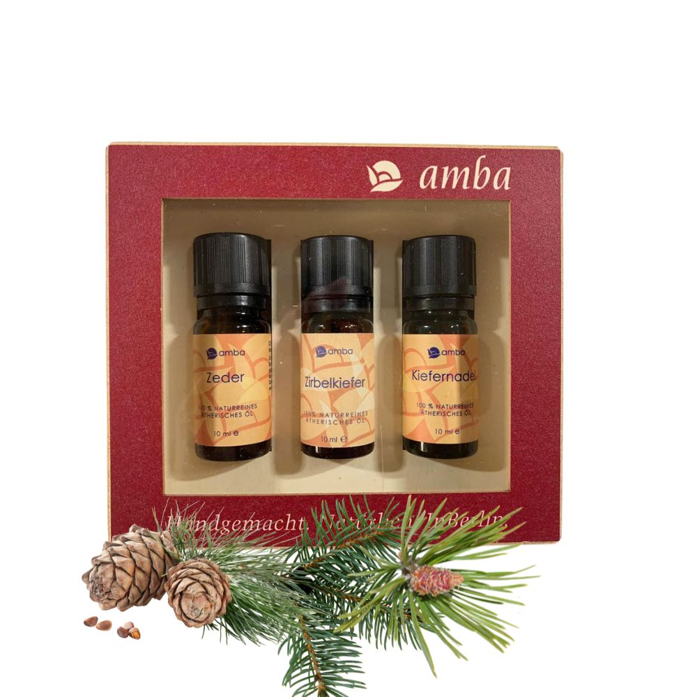 amba Geschenktschachtel mit 3 ätherischen Öl-Flaschen. Zeder Zirbelkiefer Kiefernnadel im Vordergrund. 