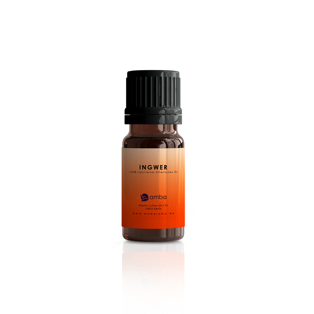 Ingwer 10 ml